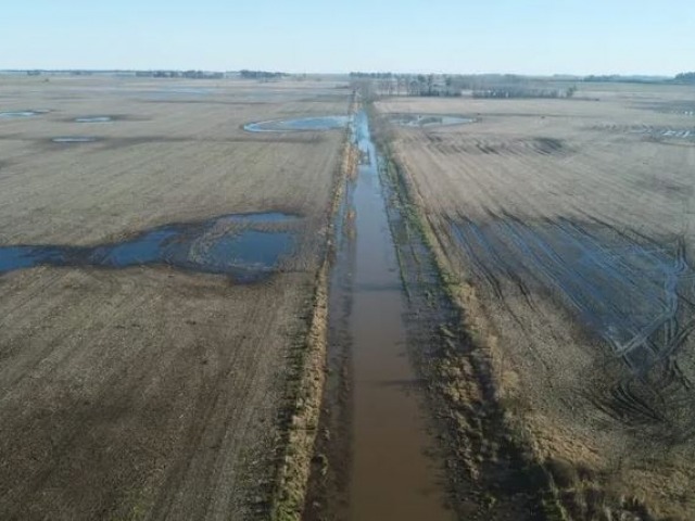 Nacin declar la emergencia agropecuaria en 12 distritos